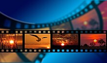 Школа №2009 Южного Бутова рекомендует топ-5 фильмов в жанре научпоп