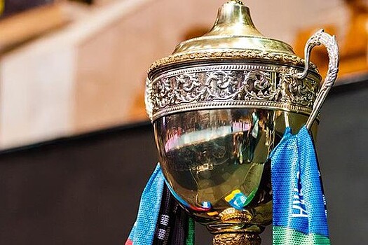 "Чеховские медведи" вышли в финал чемпионата России по гандболу