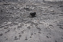 Гладков: ВСУ сбросили на Новую Таволжанку четыре взрывных устройства