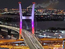 Автоэксперт Ашурков назвал главные ошибки в проектировании четвертого новосибирского моста