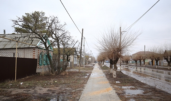 В пяти населенных пунктах Волгоградской области ввели карантин по бешенству