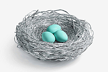 Ювелиры «свили» гнездо за 10 тыс. долларов