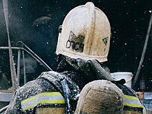 Волгоградцев посадили за поджог похоронной фирмы