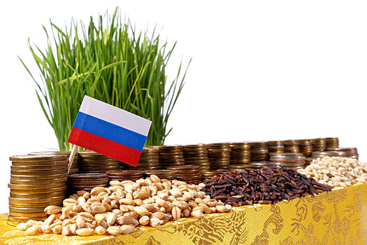 Агрострахование в России выходит на новый уровень