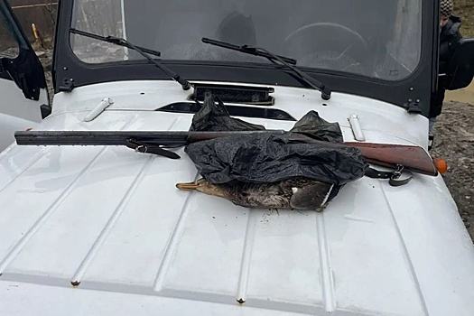 В Сочи задержали двух браконьеров за незаконную охоту на уток