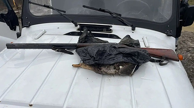 В Сочи задержали двух браконьеров за незаконную охоту на уток