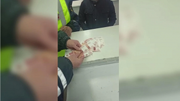 Полицейские в Татарстане изъяли партию фальшивок, которую житель Удмуртии вёз в свой регион для сбыта