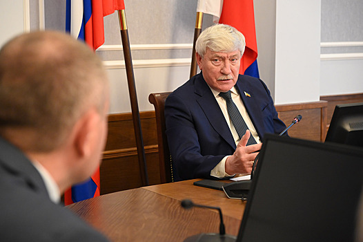 К 2030 году на Дону планируют увеличить площадь виноградных насаждений до 3000 га