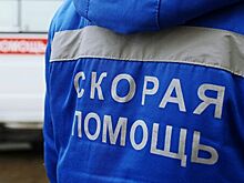 В Москве водитель сбил женщину на пешеходном переходе