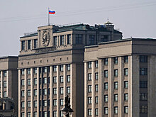 В Госдуму внесли поправки о запрете онлайн-витрин с алкоголем