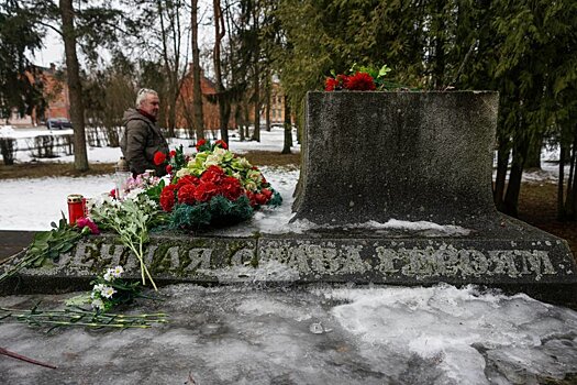 В Латвии раскрыли дело о похищении пушки с советского памятника