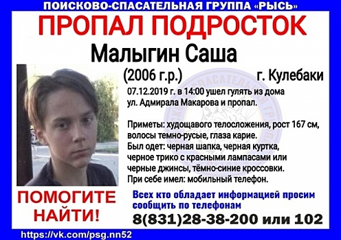 13-летний Саша Малыгин пропал в Нижегородской области