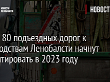 Более 80 подъездных дорог к садоводствам Ленобалсти начнут ремонтировать в 2023 году