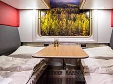 Россияне рассказали о достоинствах и недостатках поездов