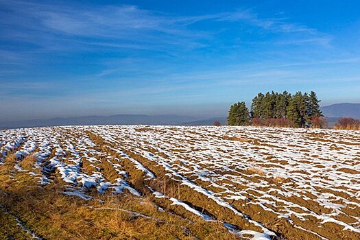 «Дальневосточный гектар» может стать драйвером по освоению незаселенных территорий России