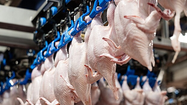 Группа «Черкизово» реализовала через биржу мясо на 3,3 млрд рублей