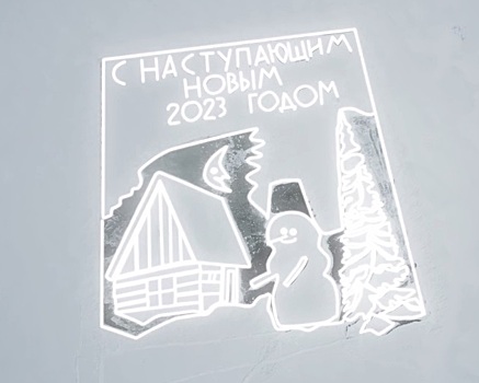 Амурчане посвятили первую ледовую открытку в этом году участникам СВО