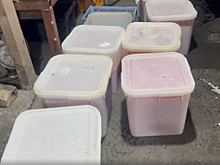 На Камчатке полицейские выявили цех по нелегальному производству рыбной продукции в промышленных масштабах