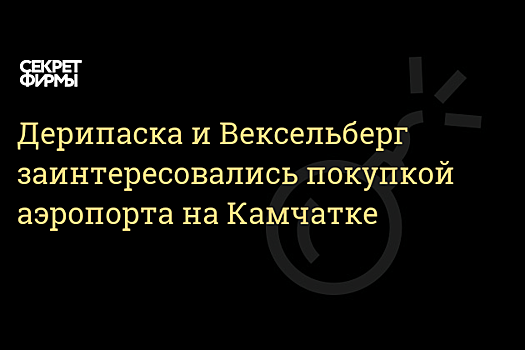 Компании Дерипаски и Вексельберга могут быть заинтересованы в покупке аэропорта на Камчатке