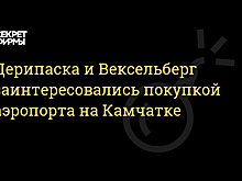 Компании Дерипаски и Вексельберга могут быть заинтересованы в покупке аэропорта на Камчатке