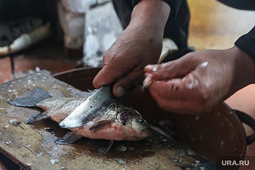 Власти предупредили о смертельной опасности тобольской рыбы