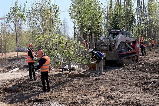 Власти Москвы рассказали о завершающих работах в парке "Зарядье"