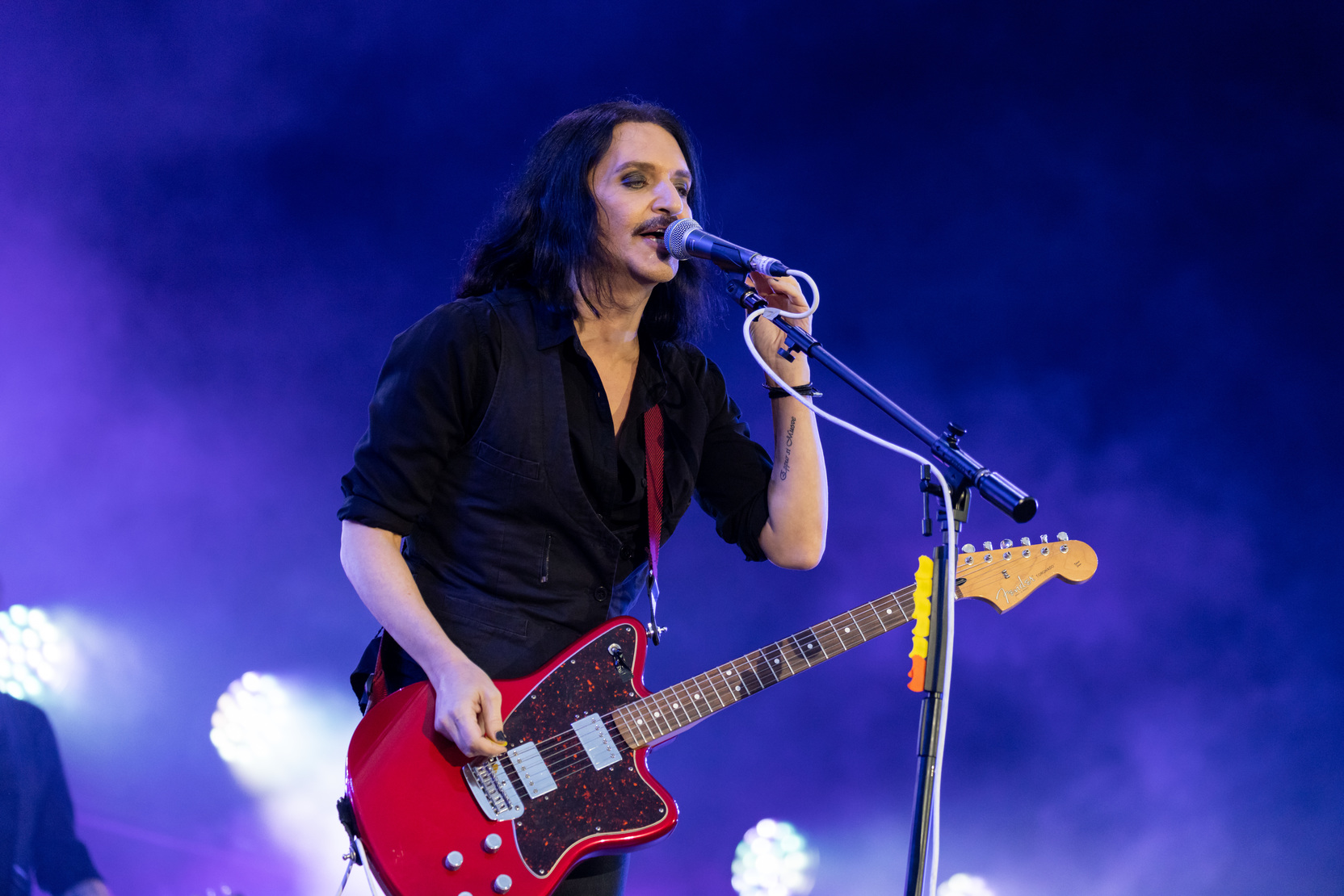 Placebo выпустили новую версию песни «The Lady of the Flowers»