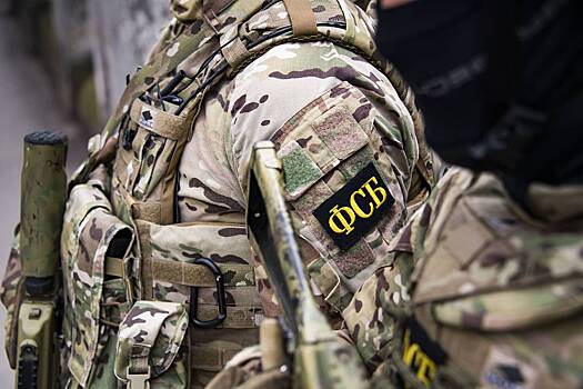 ФСБ раскрыла готовившего взрыв в Подмосковье на объекте энергетики иностранца