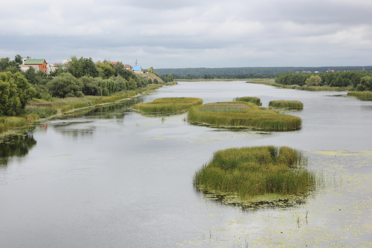 Воронеж, Воронежская область, Россия, Европа