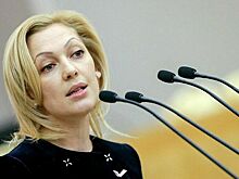 Депутат Тимофеева: Оперативно доработаем законопроект об общественных палатах