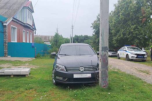 Четырехлетний мальчик на Volkswagen сбил двухлетнюю девочку в российском регионе