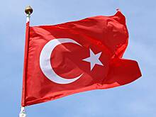 В Турции задержали члена КПРФ