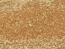 За июнь выявили более 130 случаев недостоверного декларирования зерна на Дону