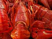 Снегопад нарушил работу московских аэропортов