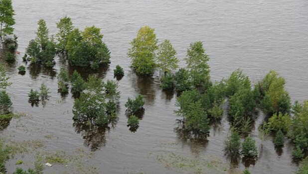 В Приамурье число подтопленных домов выросло до 39