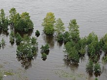 В Приамурье число подтопленных домов выросло до 39
