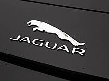 Модель Playboy из России разбила новый Jaguar