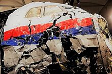 Голландский журналист снял фильм о несостыковках в расследовании катастрофы Boeing 777 под Донецком