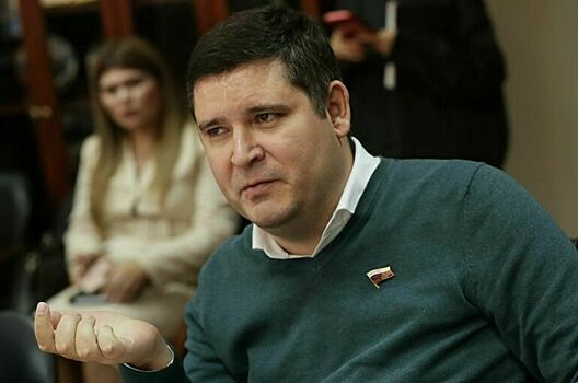 Депутат Киселев назвал новые законы о детском труде