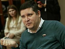 Депутат Киселев назвал новые законы о детском труде