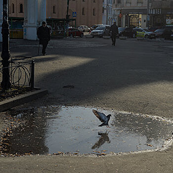 В Черкассах перед приездом Зеленского устроили борьбу с лужами