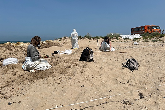 Ученые рассказали о состоянии Черного моря после разлива мазута