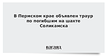 В Пермском крае объявлен траур по погибшим на шахте Соликамска