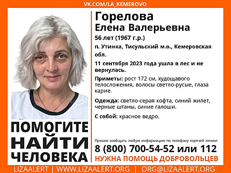 Ушедшая в лес женщина с красным ведром пропала в Кузбассе