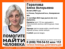 Ушедшая в лес женщина с красным ведром пропала в Кузбассе