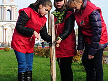 Как изменится область – решать курянам