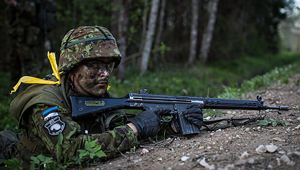 В Эстонии завершились военные учения