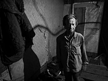 "Сашка" из хлева: омская "история выживания" оказалась на выставке в Париже