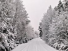 Человек пропал в пургу в Якутии — поиски идут с 21 декабря