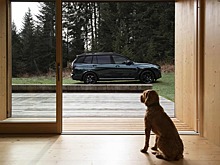 BMW представила новый X7 xDrive40d Poldo Dog Couture Edition для путешествий с питомцами